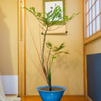 cf1040f094a178f4c80c94d2382882