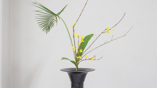 躍動感｜生花新風体 - 佐藤 池坊いけばな華道教室